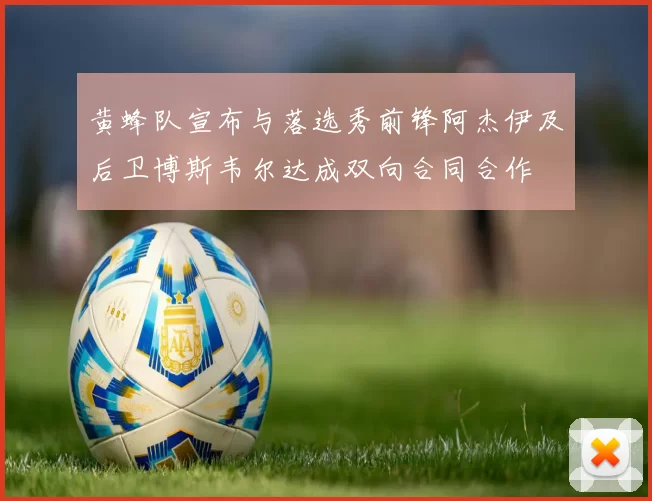 黄蜂队宣布与落选秀前锋阿杰伊及后卫博斯韦尔达成双向合同合作