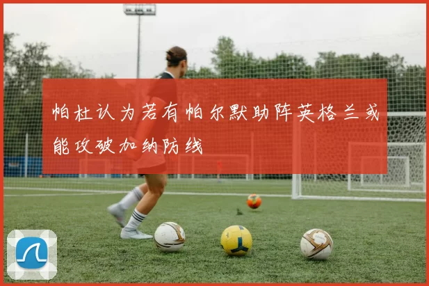 帕杜认为若有帕尔默助阵英格兰或能攻破加纳防线